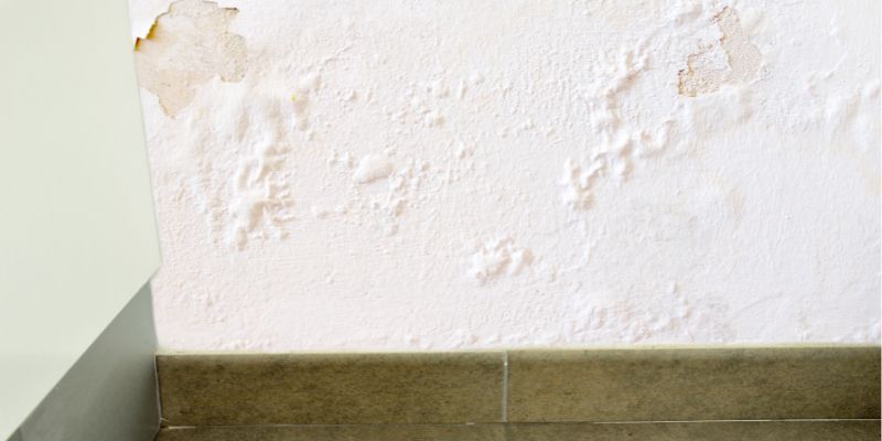 Como Detectar Vazamento de Água Dentro da Parede em Vitória: Confira 5 Dicas vazamaneto de água dentro da parede